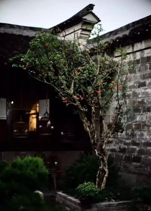 我家有一个大花园，这花园里蜂子，蝴蝶，蜻蜓，蚂蚱，样样都有