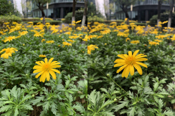 iPhone XS Max使用体验，买的时候肾疼觉得亏了，用过了之后觉得脸疼被苹果打了