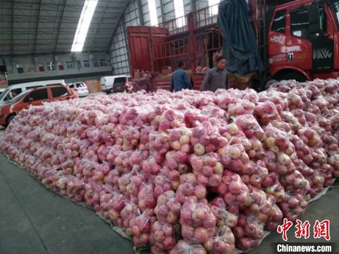  『早日』山西吉县脱贫户150吨苹果滞销 果商盼早日解困