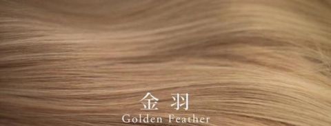  「看起来更大」换发型等于换头，看明星就知道怎么选对发型太重要了