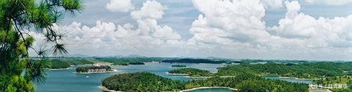 广西这4个县, 是所在市的重点, 会是撤县设区的地方