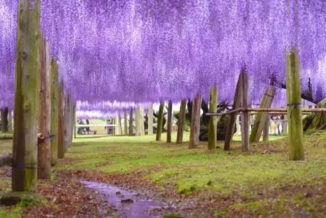 最适合一个人旅行的20个国内外旅行地，2019欠自己一次独自旅行