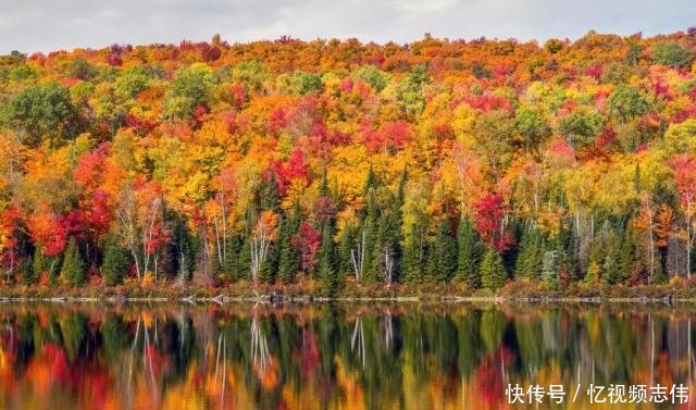 世界赏枫高阶指南｜日本与加拿大到底去哪一个