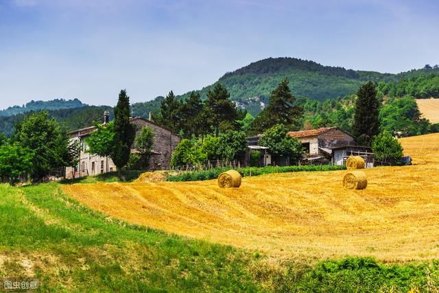 农村现状如何？老农哭泣：连个年轻人的影子都看不到，还怎么发展