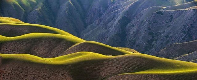 新疆伊犁，西北部的伊甸园，中国的普罗旺斯