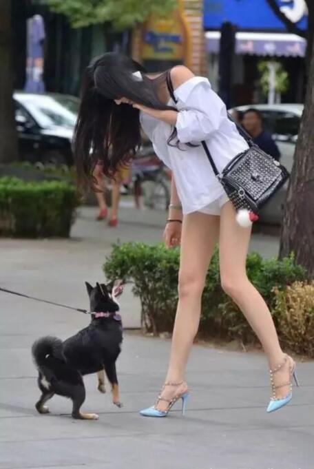 街拍: 图1美女太冷艳, 图3街头撩狗好俏皮, 图4穿着包臀裙很性感