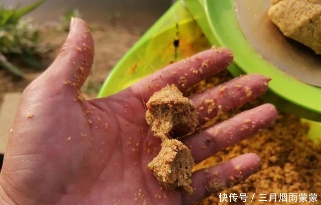 鱼可以蘸:野钓闹起小鱼,该如何施钓才能避小钓大?做窝思路是核心