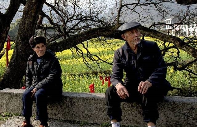 农村这5大怪象，村村都有，城里人难以理解，你们村中了几个？