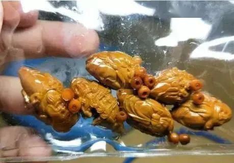  [泡油]泡油半年的橄榄核会长啥样？