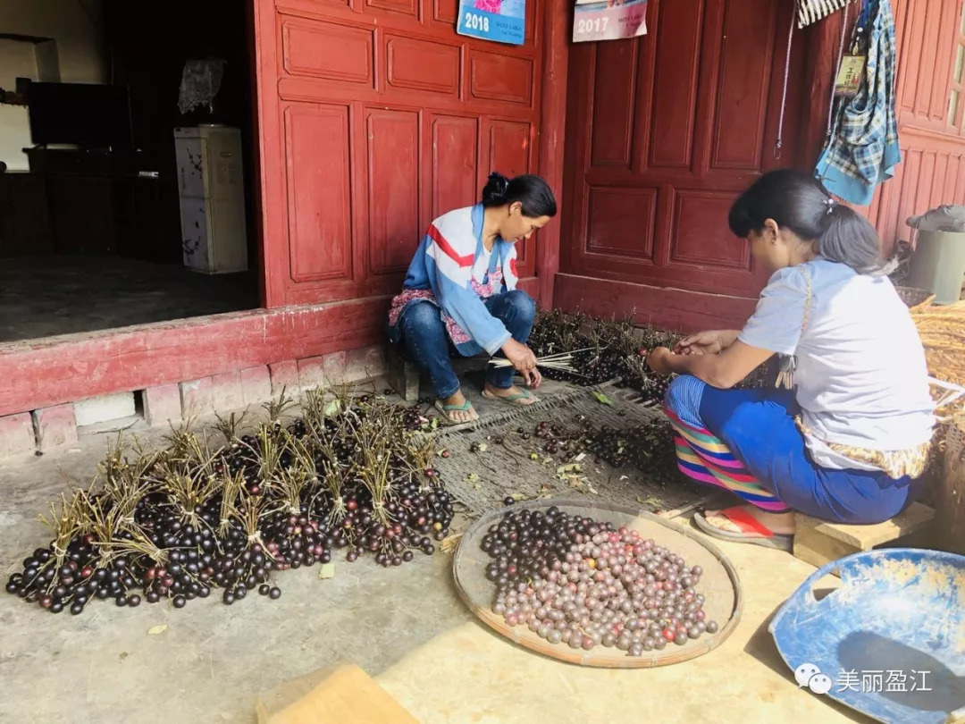 德宏盈江有个＂云端上的寨子＂