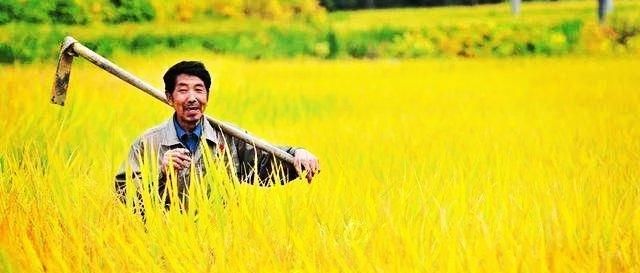  「也会」农村的富人和“伪富人”，如何一眼看穿？有个“识人”