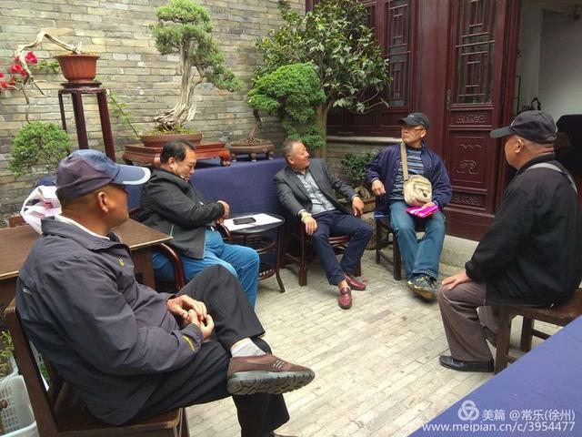 #盆协#徐州收藏家协会(盆景协会和铁路盆协)回龙窝微型盆景