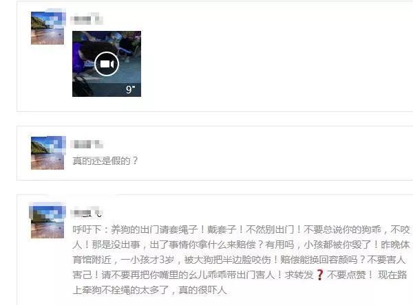 3岁女童体育馆外被狗咬伤半边脸？警方：谣言！