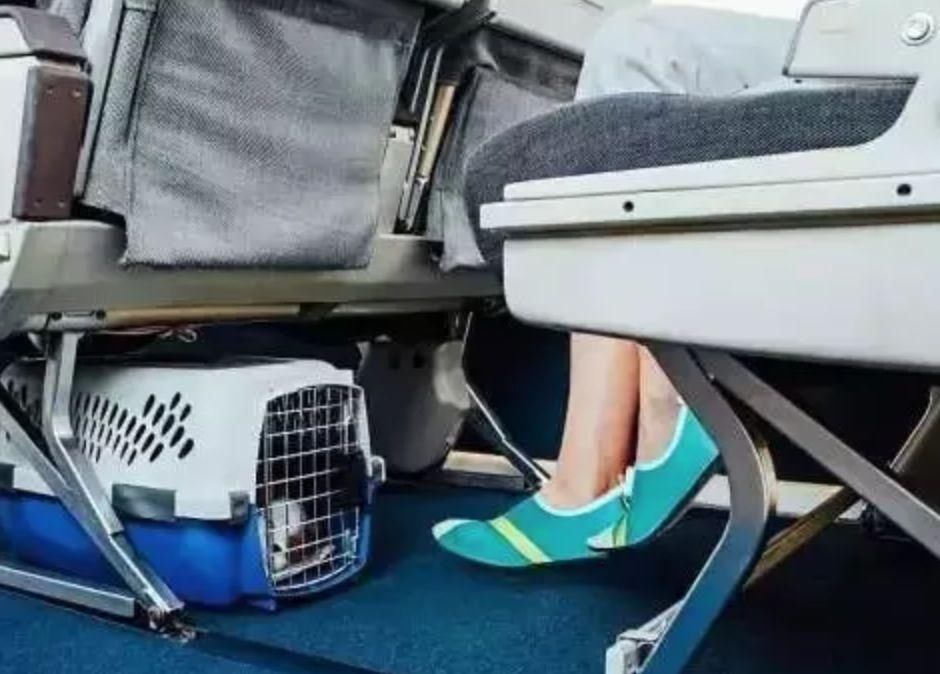 今年秋天最火的5双鞋,第五双好多人都没有!