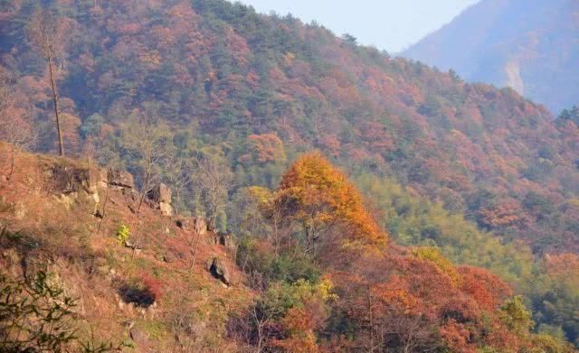浙江不只有江南烟雨，这10个地方藏着浙江的绝美秋景