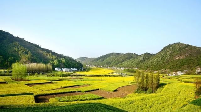  流转@2020年土地流转多少钱一亩？如果不愿意转了怎么办？