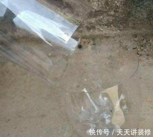  『扦插』养护神器：塑料瓶千万别扔，用来养花用处多