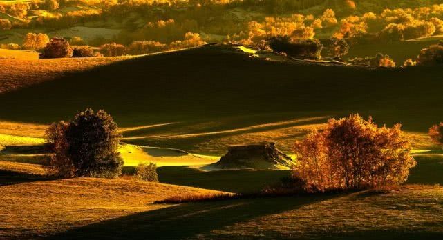 秋天的坝上，中国最美，不可忽略的一抹金黄