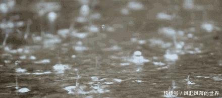  『水温降低』同样在下雨天钓鱼，为何别人收获很好，你却钓不到鱼！