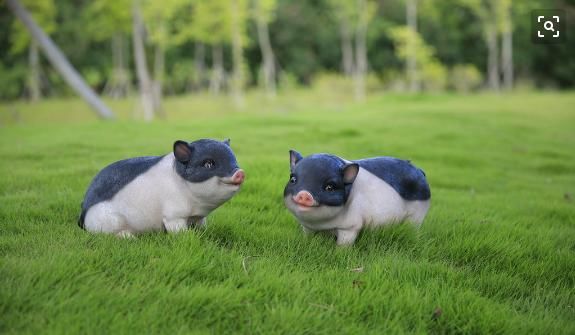 『明朝』明朝开国皇帝朱元璋,避讳猪不能叫猪,取一个可爱称呼肥肥