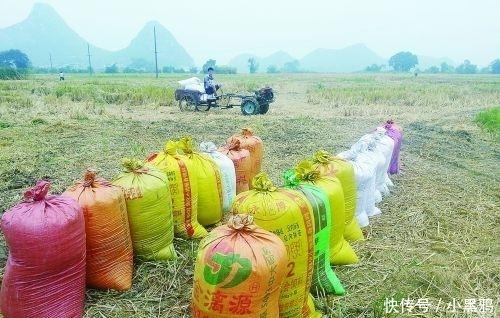 一斤粮食抵不上一瓶矿泉水，农民不解，为何国家不提高粮食价格？