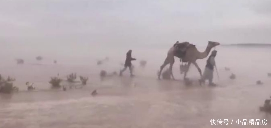 阿拉伯最大沙漠突降大雨，1天相当于9年雨量！