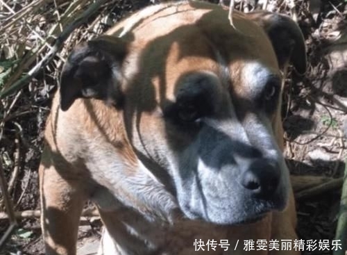 「深蓝色」伊万卡罕见展现温柔一面!蓝色上衣搭配百褶裙优雅灵动,温柔大气