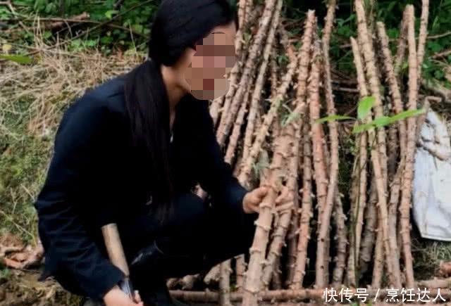 侵权请告知删除|农村妹子种植南方特产“木薯”，一亩产量几千斤