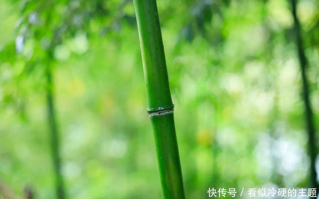 十首大暑诗词:何以销烦暑,诗中寻清风