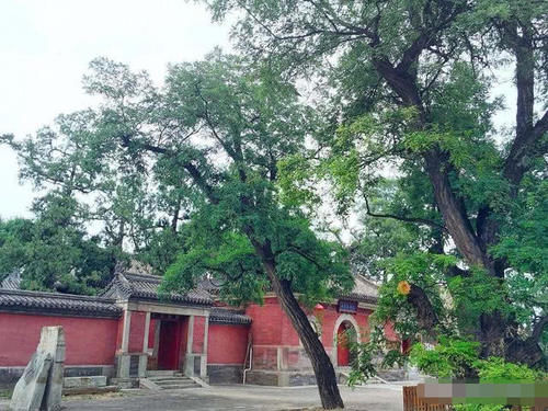 北京这座寺庙很神秘，建寺500年很少开过门，不受香火却吃喝不愁