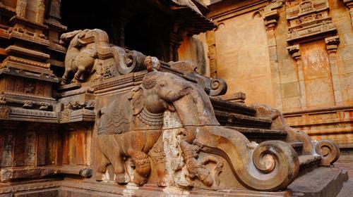 高调炫富的村子，男子一生不理发，家家房顶停飞机竟成了景点