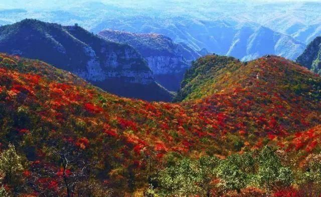 河南秋天自驾最美的10个地方 美爆了