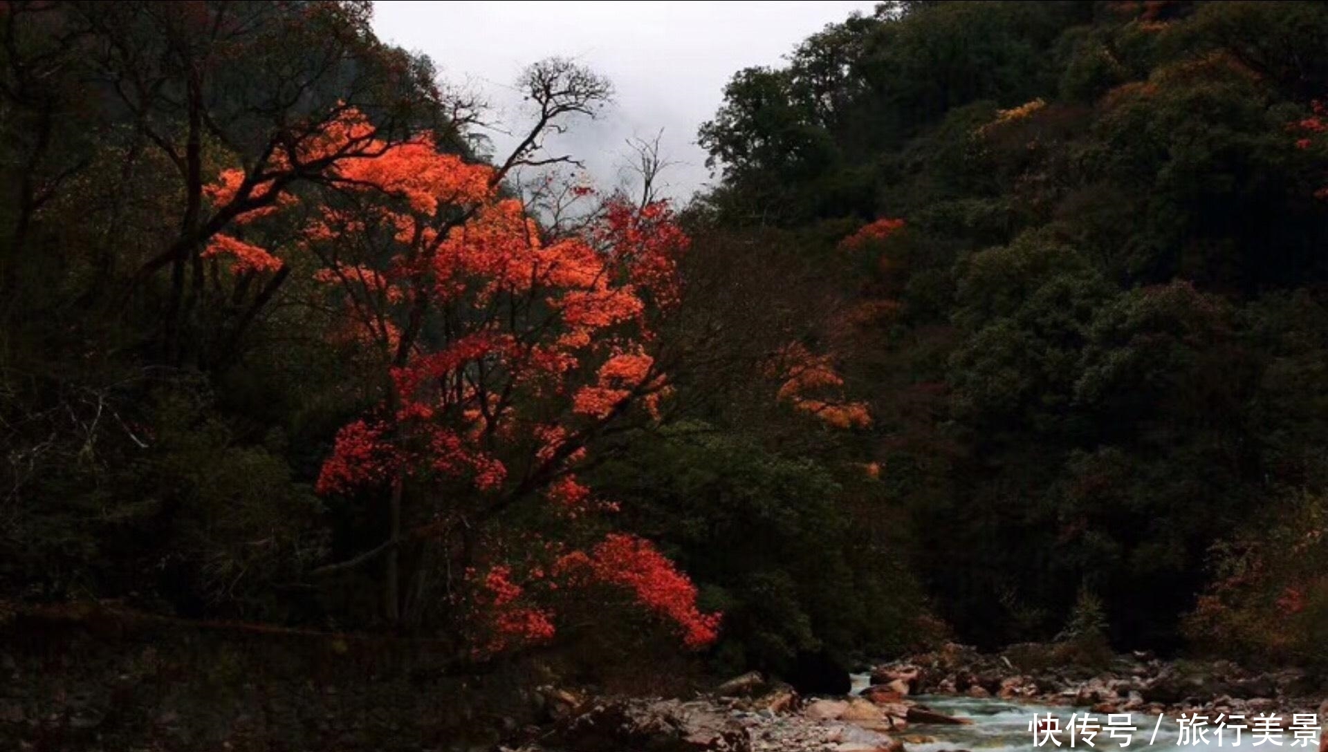 四川一处大峡谷,景色“可媲美九寨沟”景区,却少有人知