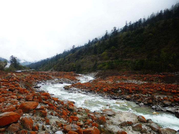 川藏318，我们在路上（15天川藏线自驾游攻略）