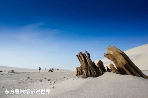  [水湾]世界上最“失败”的沙漠，鱼蟹成群，碧绿水湾，你知道在哪吗