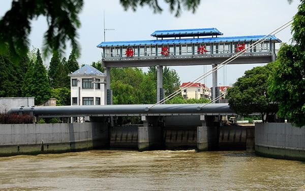 春旱为何不旱?浦东18座水闸联动调水