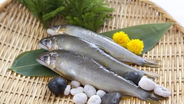  【利润】它被誉为“淡水鱼之王”，肉质清香无腥味，养殖利润十