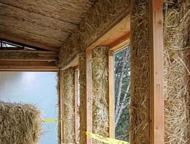  [火了]稻草房在国外火了，冬暖夏凉不比别墅差！网友：回农村盖