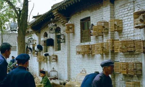 老照片：1984年河南洛阳，百姓生活朴实，为何如今乌烟瘴气！