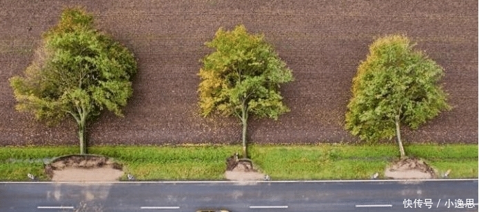16张看似像经过PS并被网友认为虚假的照片 但全是真实的