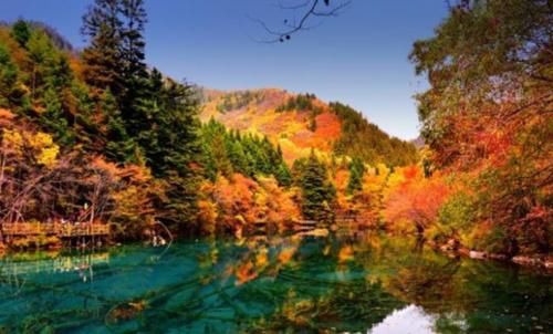 我国面积最大“枫叶景区”！比香山大180倍？是中国的阿尔卑斯！