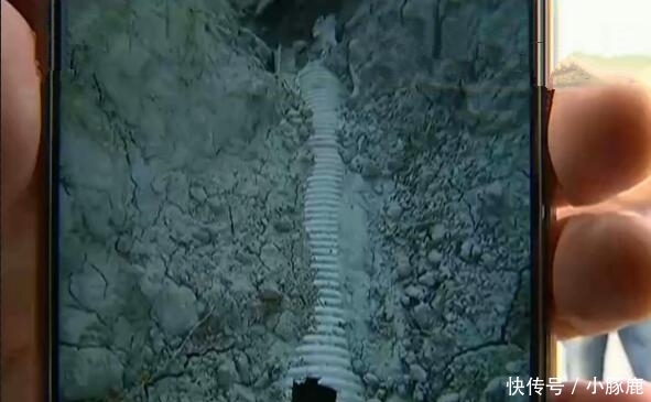 70亩西瓜被泡烂, 挖开排水管发现猫腻, 女子: 谁来赔偿我的损失