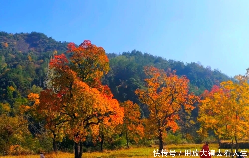 中国第一红叶村，免费对游客开放，却少有人知道