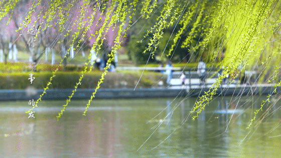  「迎接」迎接十四运 | 美景正在加载，花园浐灞敬请期待！