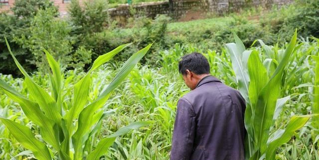  【打补丁】农民穷时有多节俭？城里人笑他们土，但活下去才能体会今天的幸福