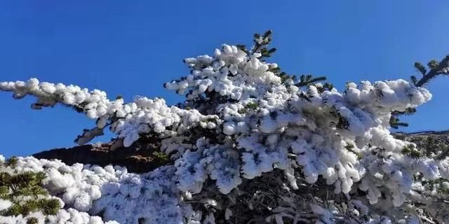 轿子雪山冬意浓，邂逅画里的轿子雪山