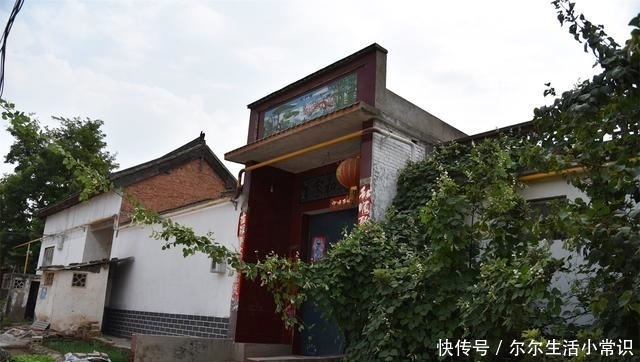  「玉米」国庆假期里的河南乡村，柿子挂满枝头，街道被玉米占领