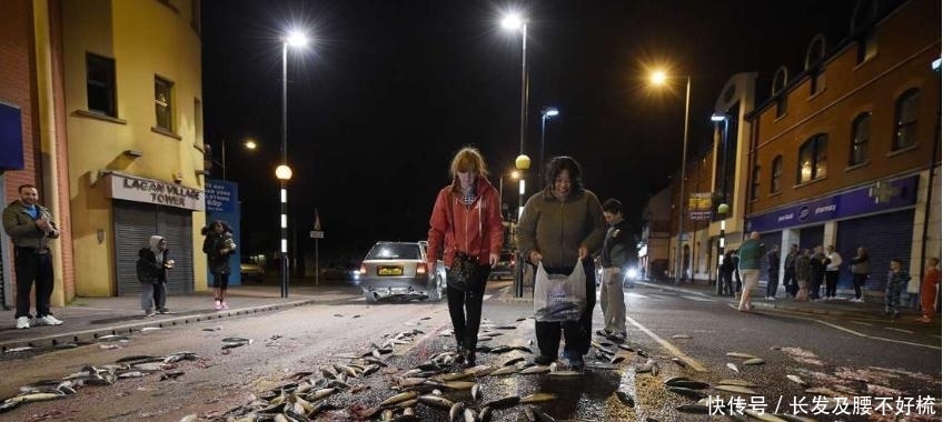  「开闸」上千条活鱼从天而落，这是什么怪事？网友：王母的瑶池