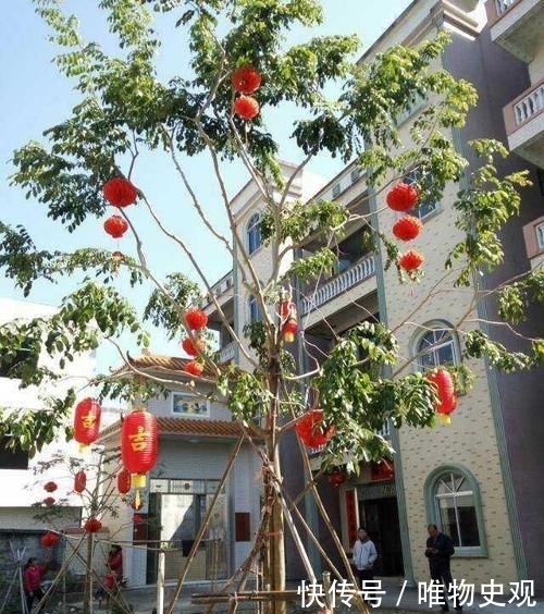  小伙|小伙斥资50万在农村盖四层别墅，超大庭院，大门太气派了！