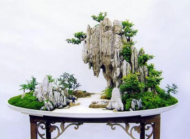  拆开：拆开山水盆景才恍然大悟，原来植物要这样才能固定在山石盆景！